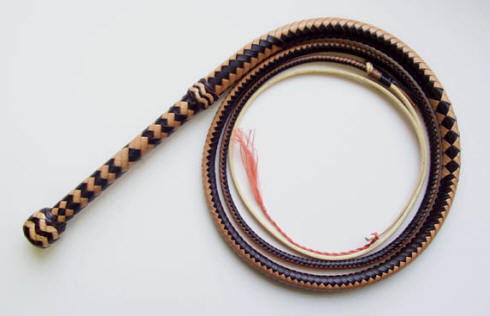 Bullwhip, 6 Foot LoneStar 2-tone