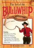 Art of the Bullwhip