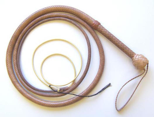 Indiana Jones Raiders Bullwhip